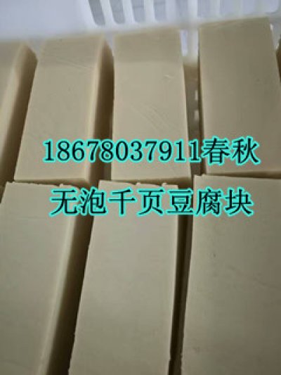 千页豆腐无泡设备真空去泡机真空抽浆机春秋专