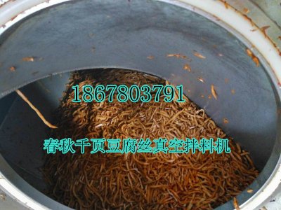 千页豆腐黄金丝真空拌料机