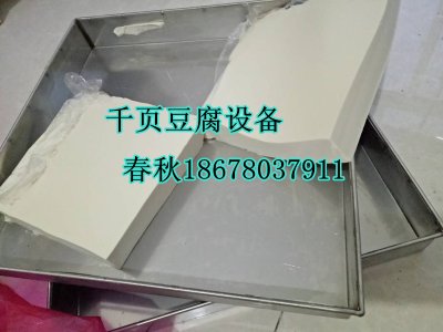 无泡千页豆腐技术工艺春秋免费包教包会